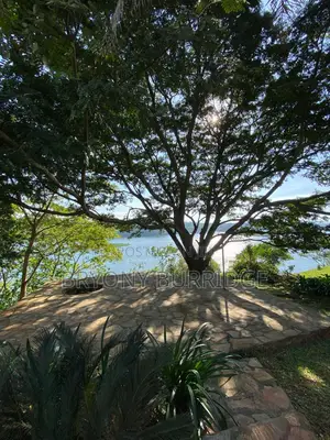 Photo - 5bdrm House in Jinja for sale