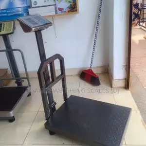 High Accuracy Weigh Big Size Weighing Scales 350kg Weighing Scales