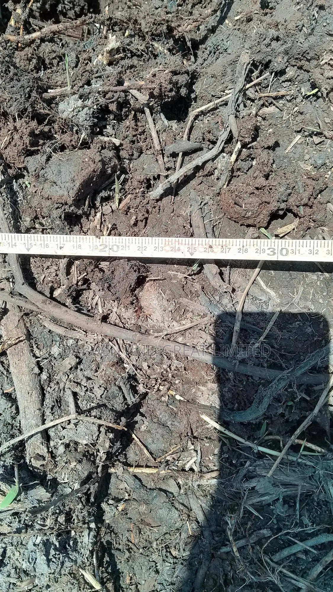Soil Testing and Field Preparation Services
