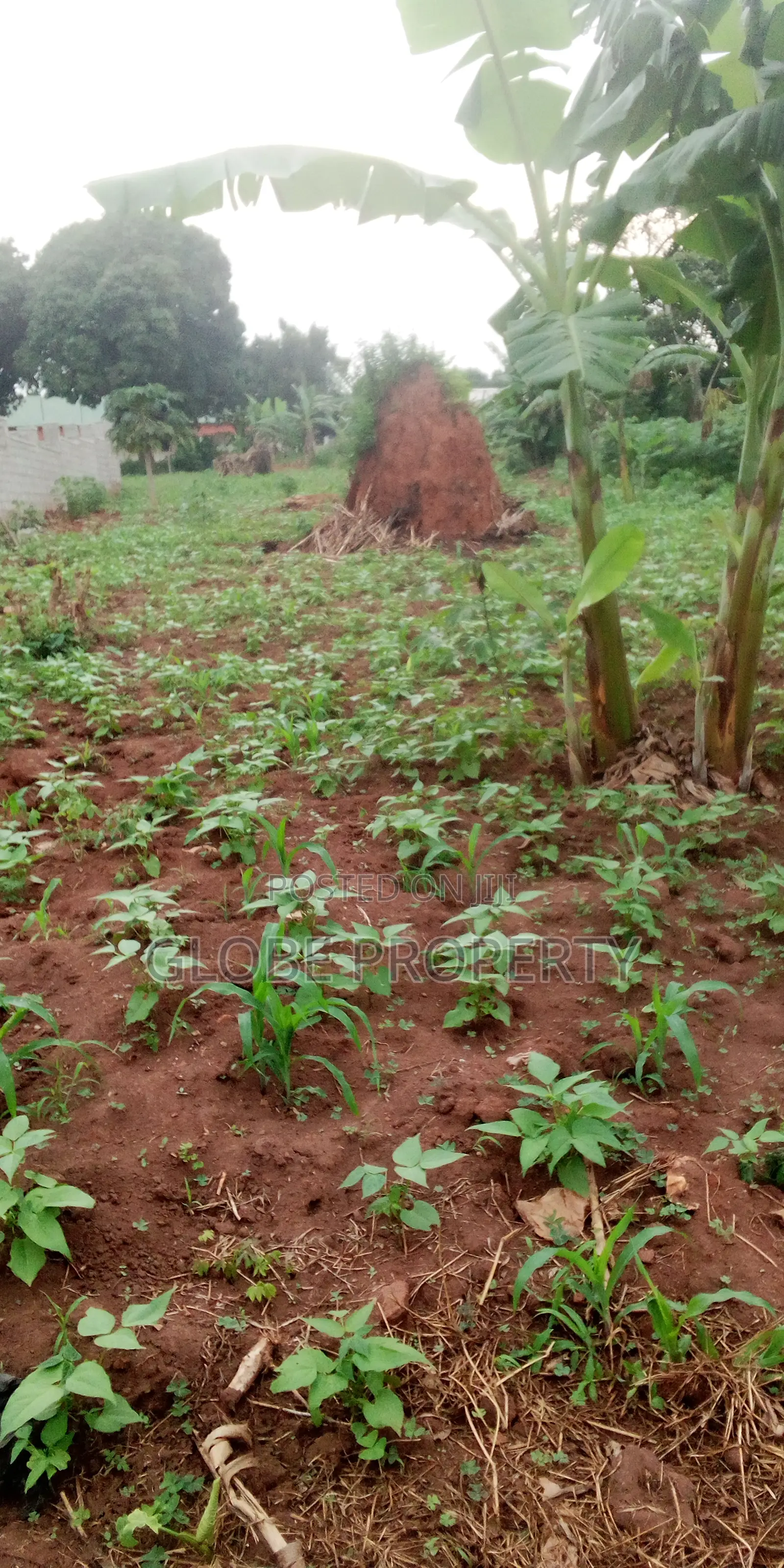 Plot for Sale in Gayaza Nakwero