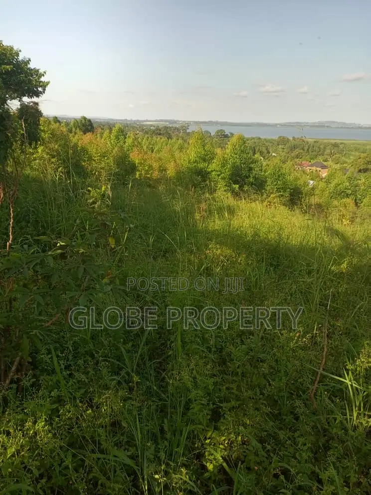 50x100 Plot for Sale in Zziba Kassanje