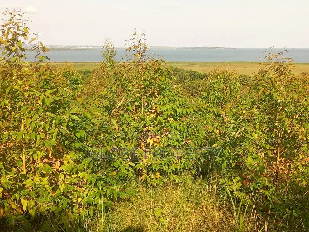 50x100 Plot for Sale in Zziba Kassanje