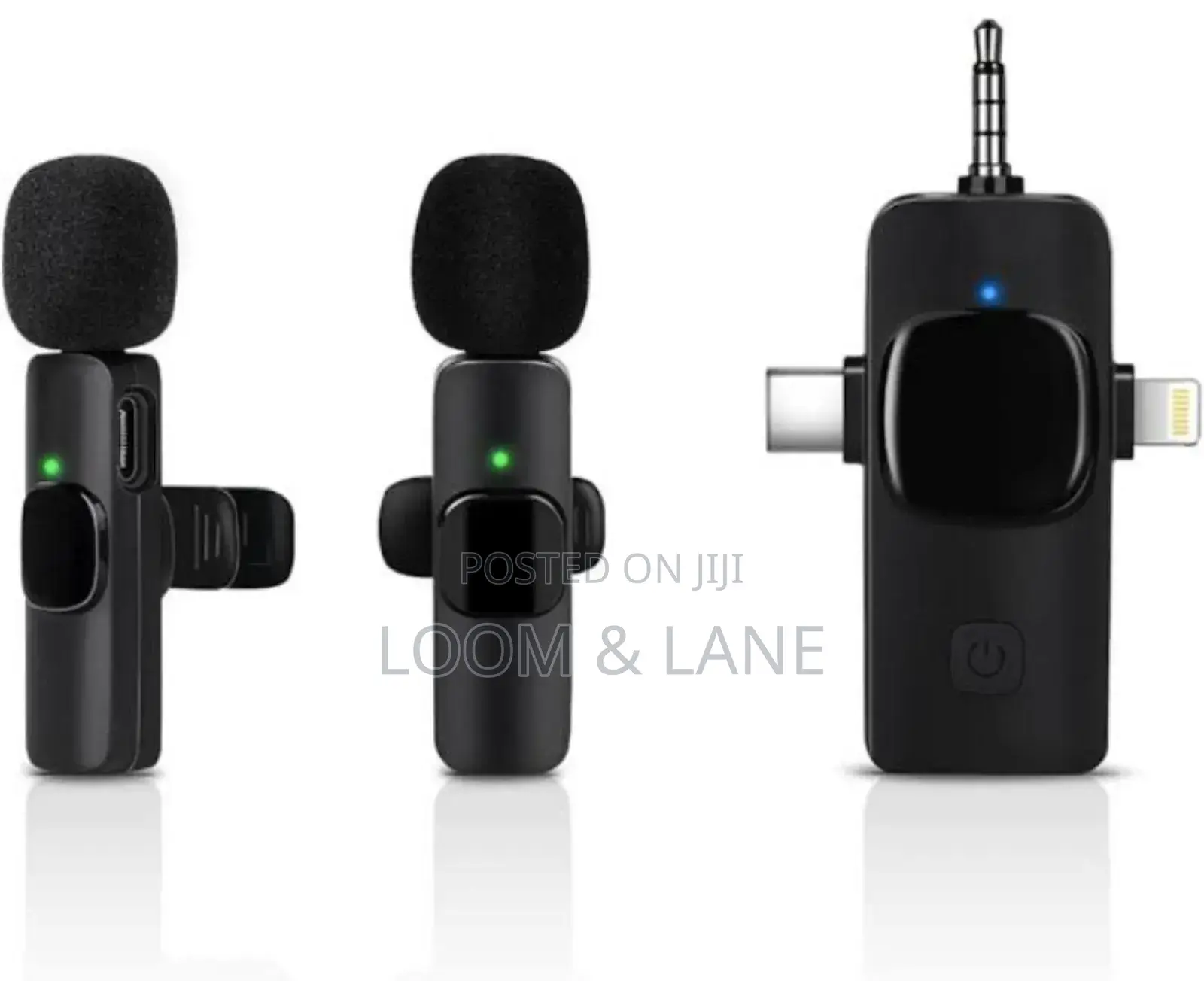 Professional Portable 3 in 1 Wireless Microphone