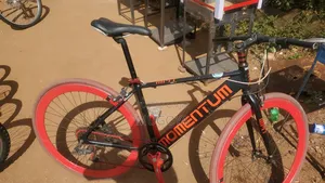 Photo - Momentum Bicycle