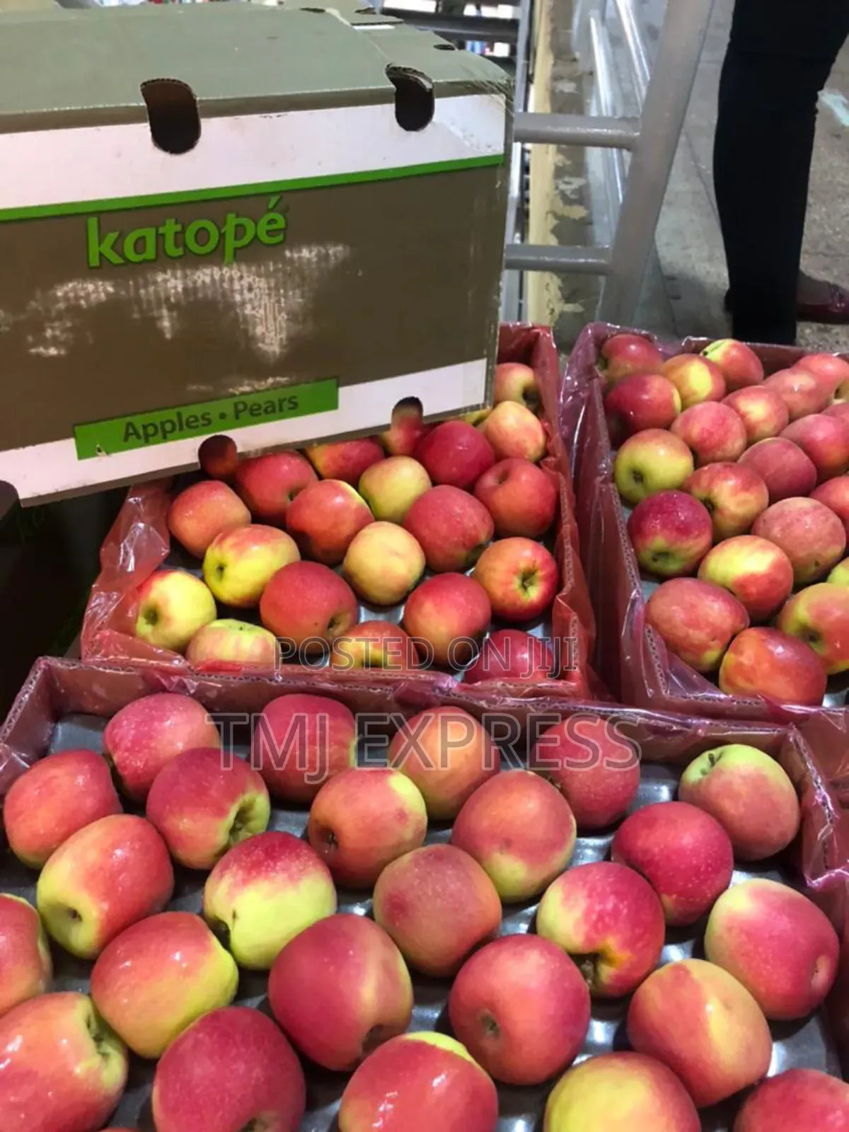 Red  Apples Per Box of 155/165/180
