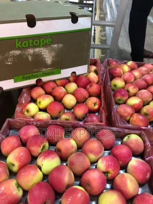 Red  Apples Per Box of 155/165/180