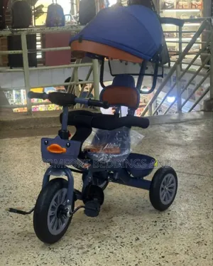 Baby Tricycle With a Shade