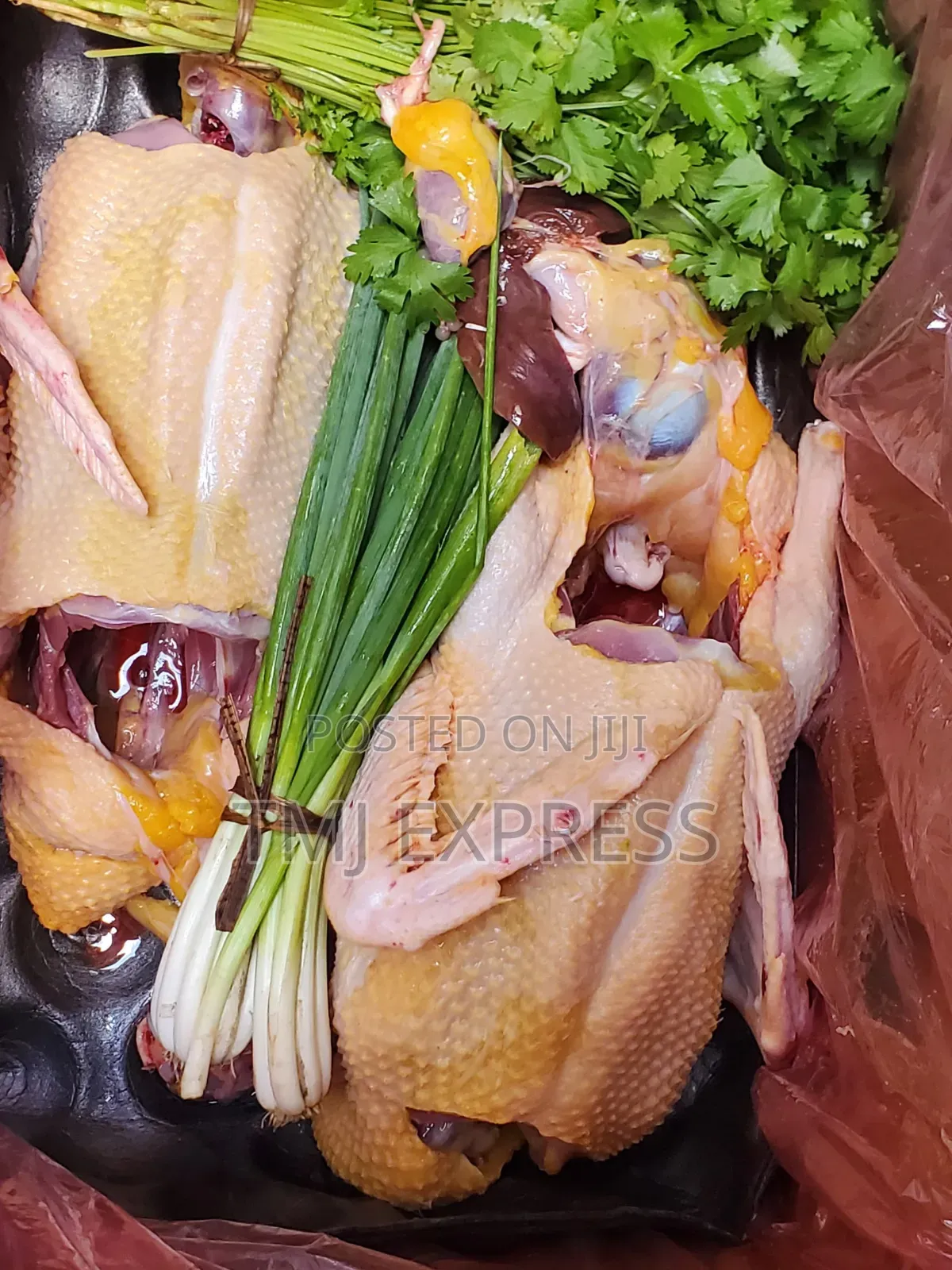 Dressed Two Muscovy Duck Combo
