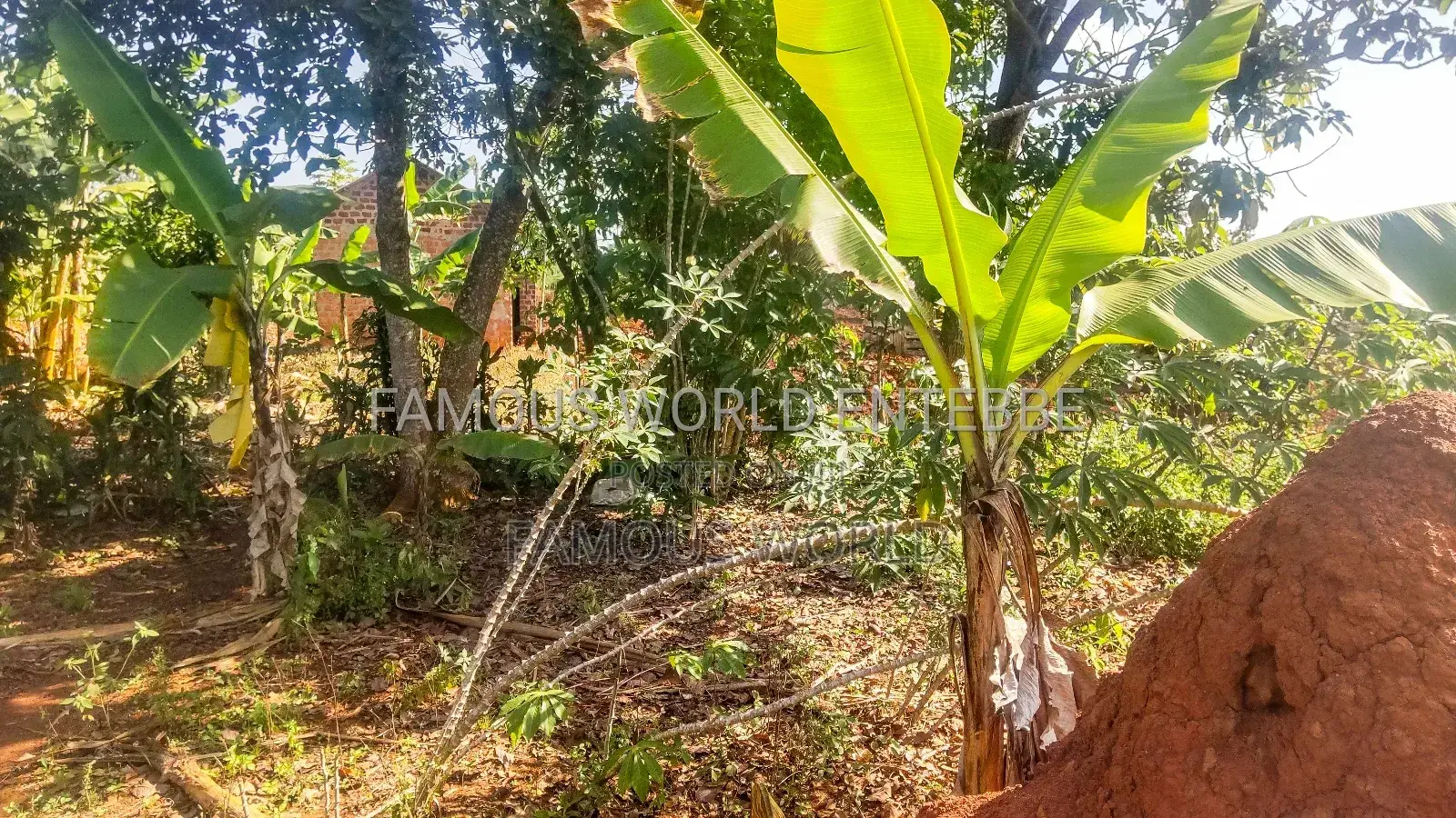 Entebbe Buwaya Plots on Sale