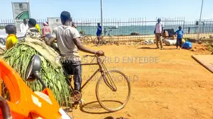 Entebbe Buwaya Plots on Sale