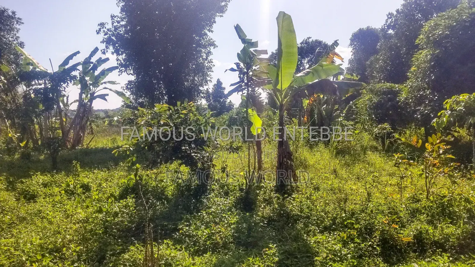 Entebbe Buwaya Plots on Sale
