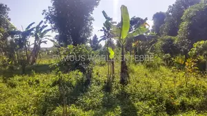 Entebbe Buwaya Plots on Sale