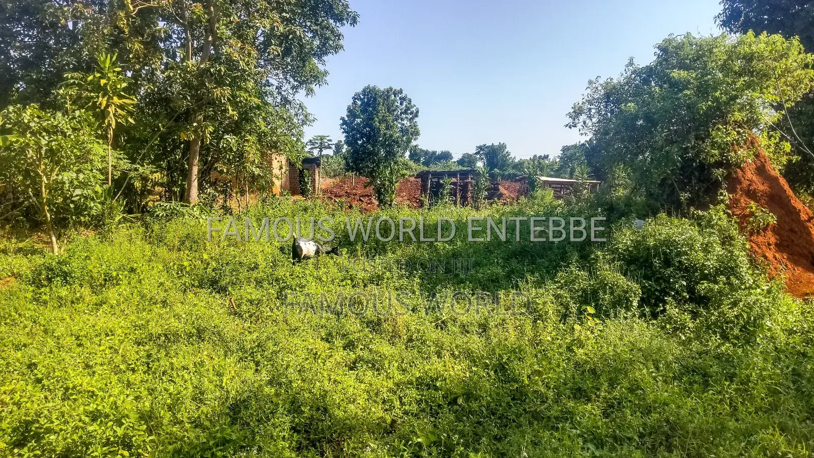 Entebbe Buwaya Plots on Sale
