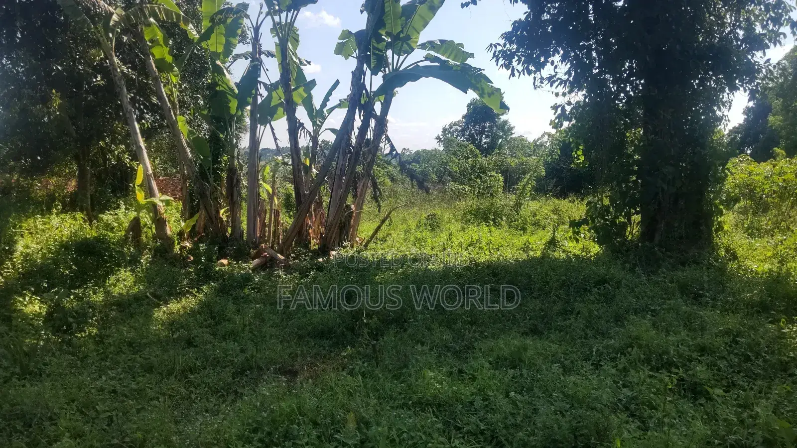 Entebbe Buwaya Plots on Sale