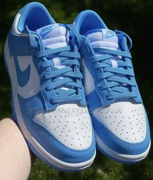 Sb Nike Sneakers