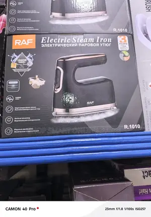Electric Steam Iron Electric Steam Iron