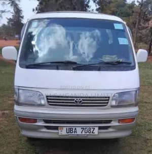 Rental Cars