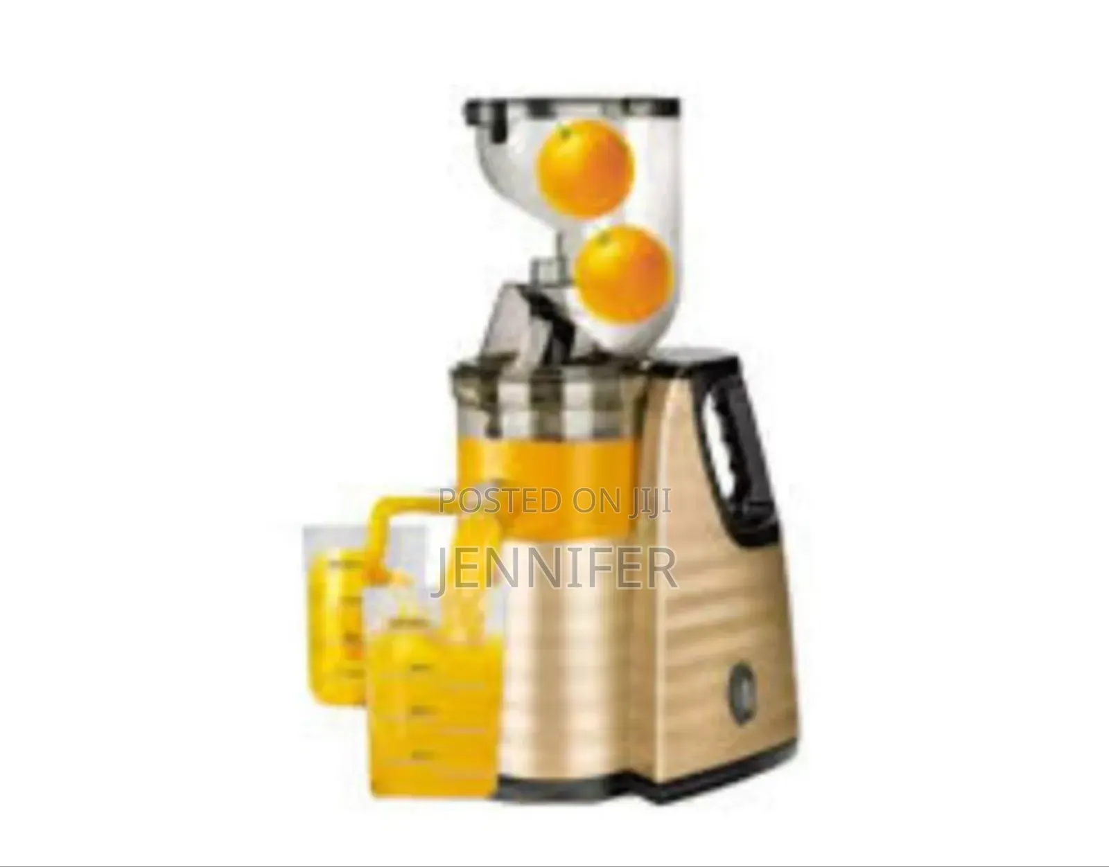 Raf Compact Slow Juicer Blender