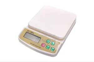 Electronic Compact Scale