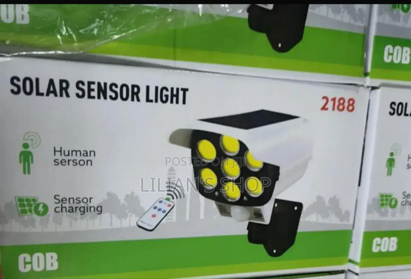 Outdoor Solar Sensor Light