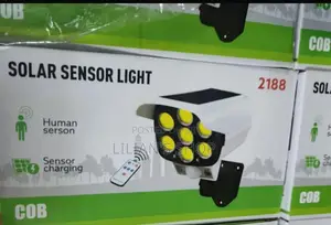 Outdoor Solar Sensor Light