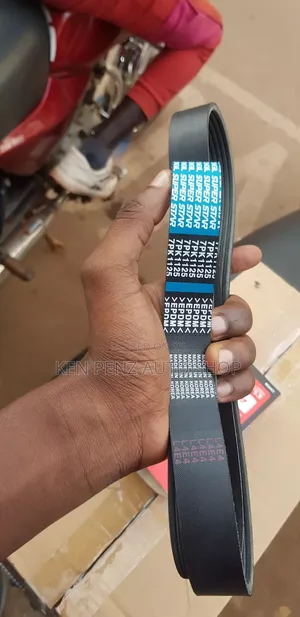 Fan Belt for Nissan Juke 2012