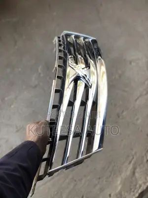 Mark X 2008 Grill