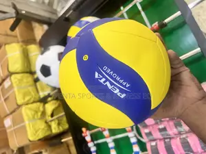 Volleyball Penta Tubeless