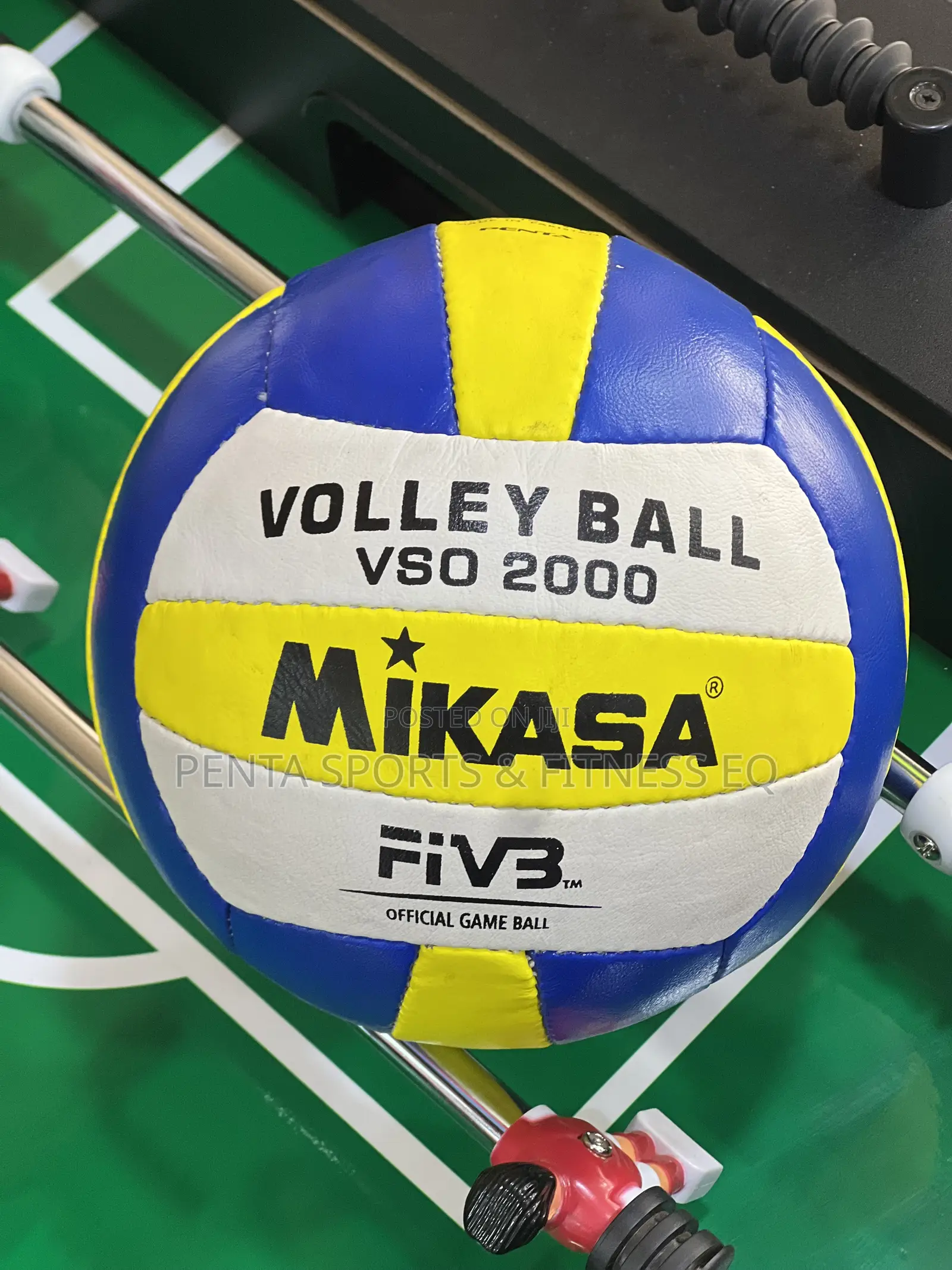 Volleyball Mikasa