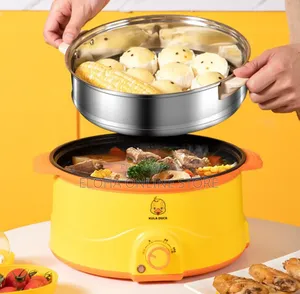 2 Layers Non Stick Electric Food Steamer 28 Cm