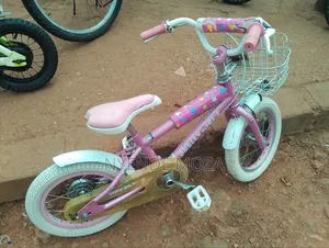 Dually Girls Bike