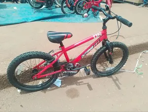 Apollo Dutrage Kids Bike