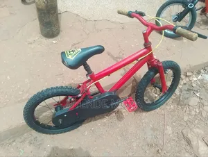 Pure Kids Bicycle