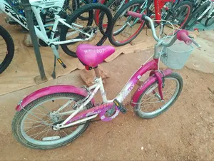 Flower Kids Bicycle
