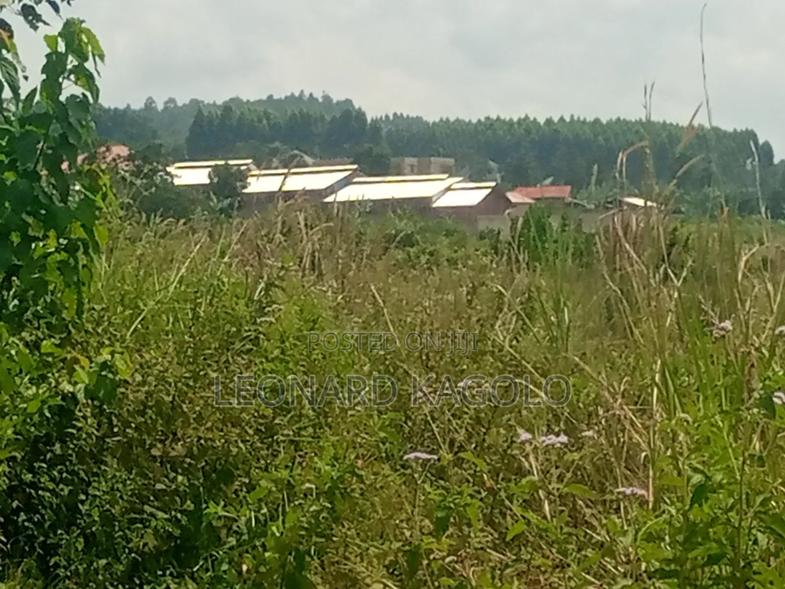260 Acres Agricultural Land