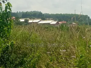 260 Acres Agricultural Land