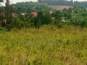 260 Acres Agricultural Land