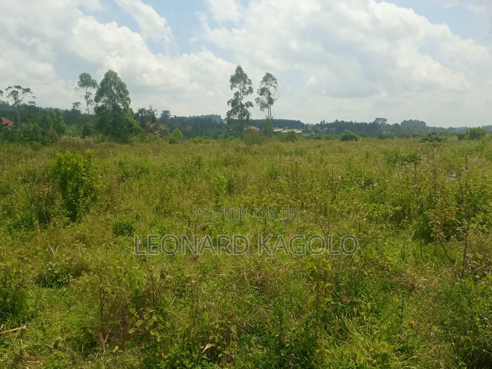 260 Acres Agricultural Land