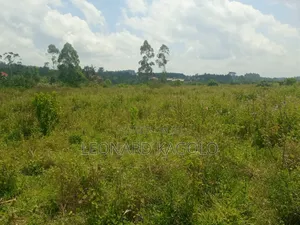 260 Acres Agricultural Land