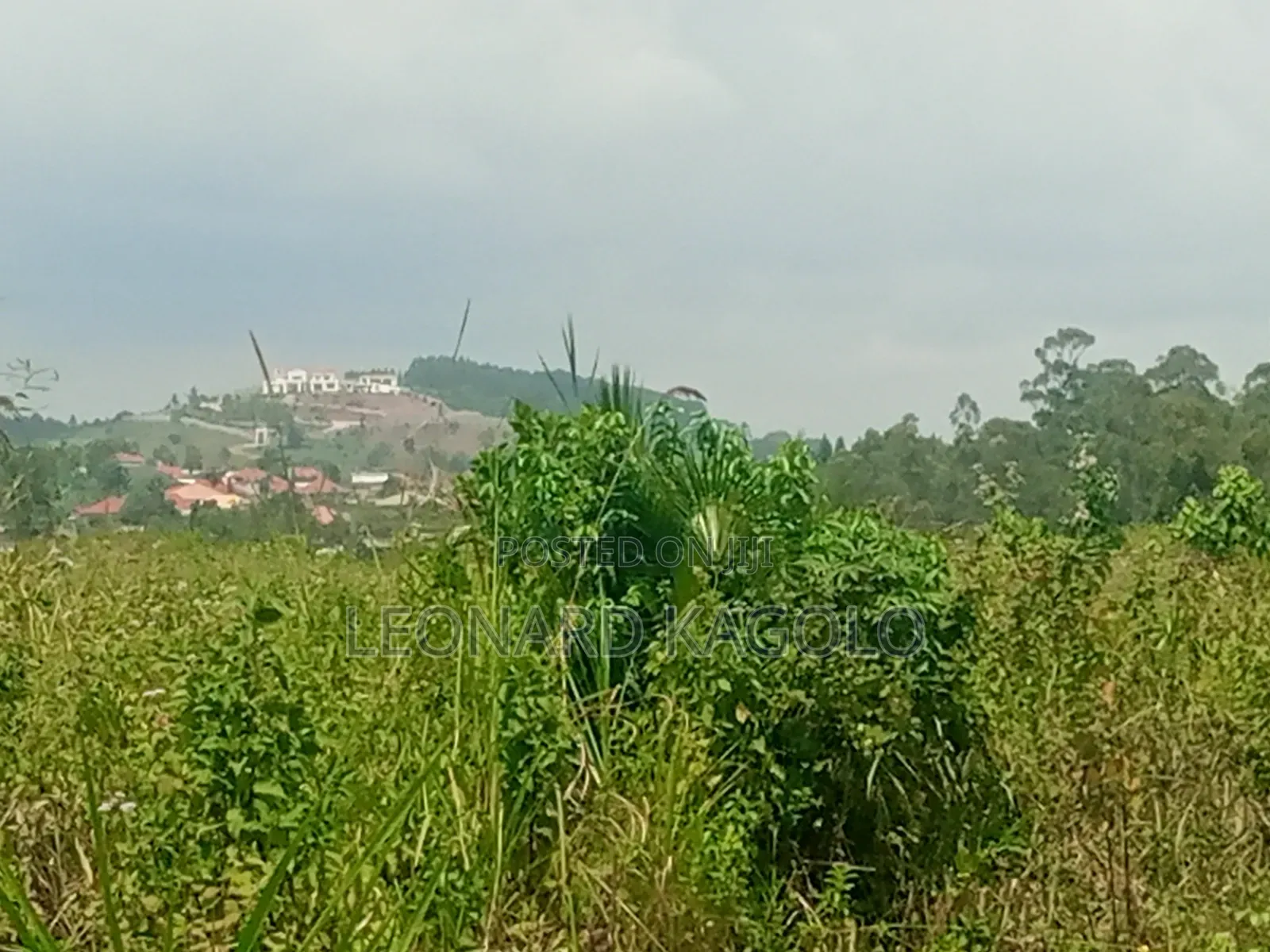 260 Acres Agricultural Land