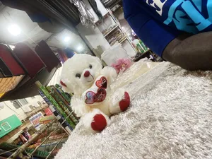 Lovable Beautiful Cute Teddy Bear
