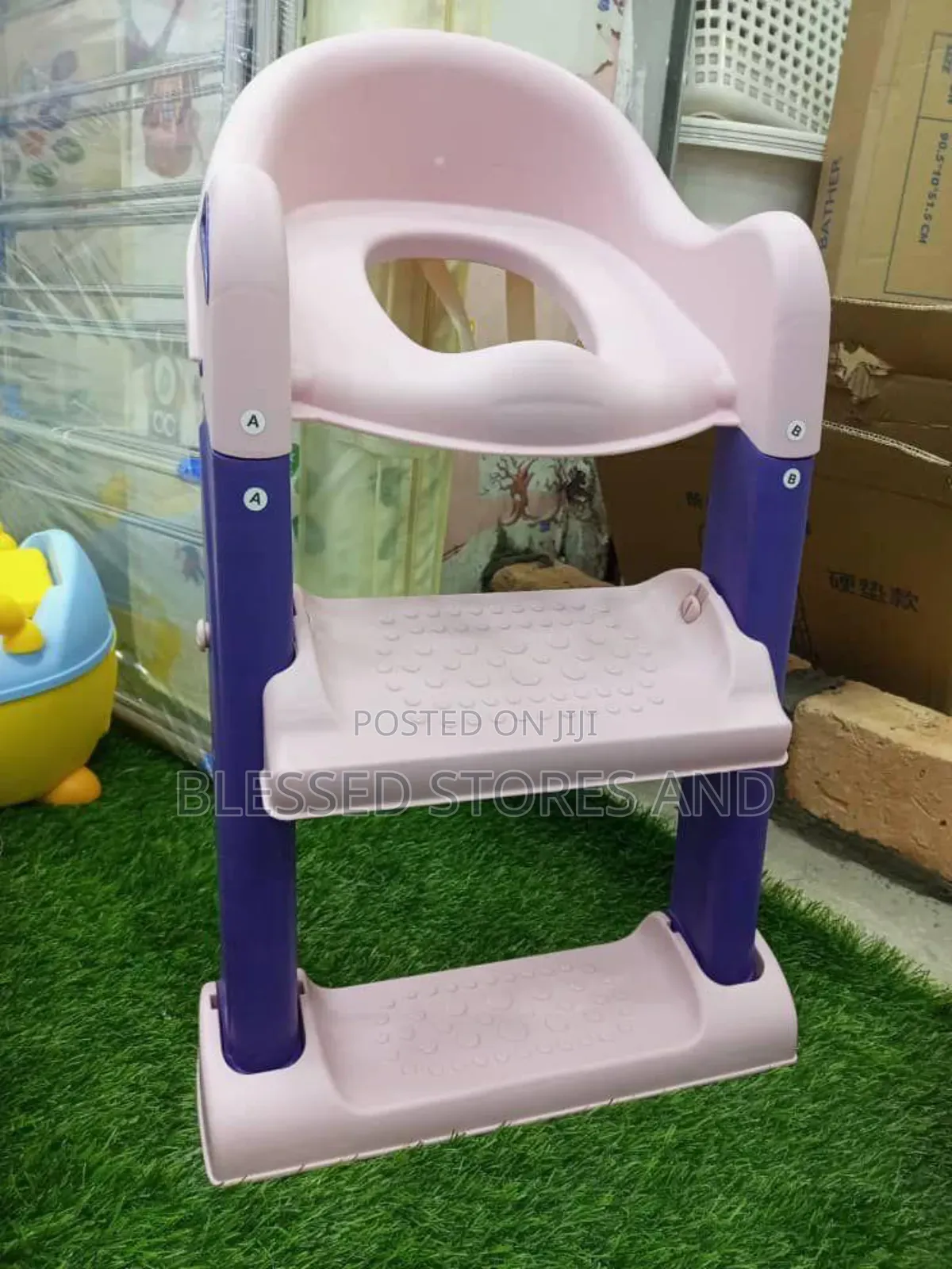 Toilet Ladder