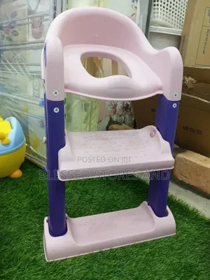 Toilet Ladder
