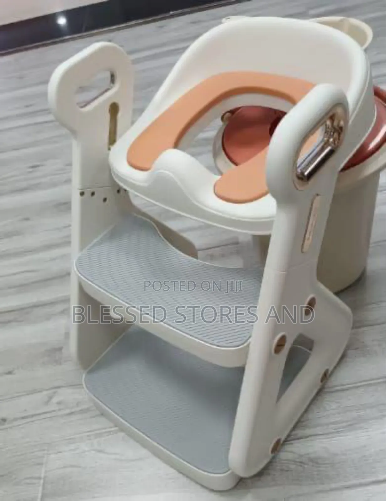 Toilet Ladder