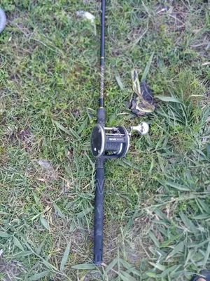 Fishing Rod(Combo)