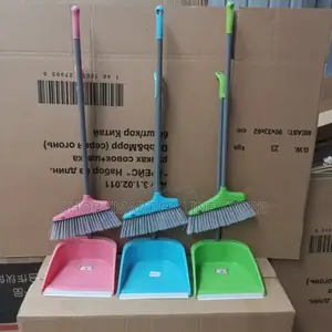 Plastic Hand Broom and Dust Pans