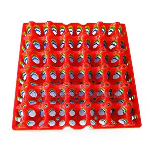 Plastic Egg Trays Egg Trays Holder