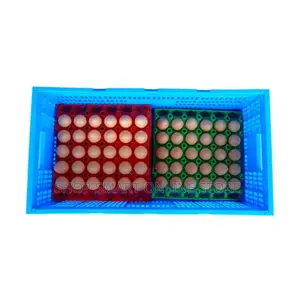 Plastic Egg Trays Egg Trays Holder