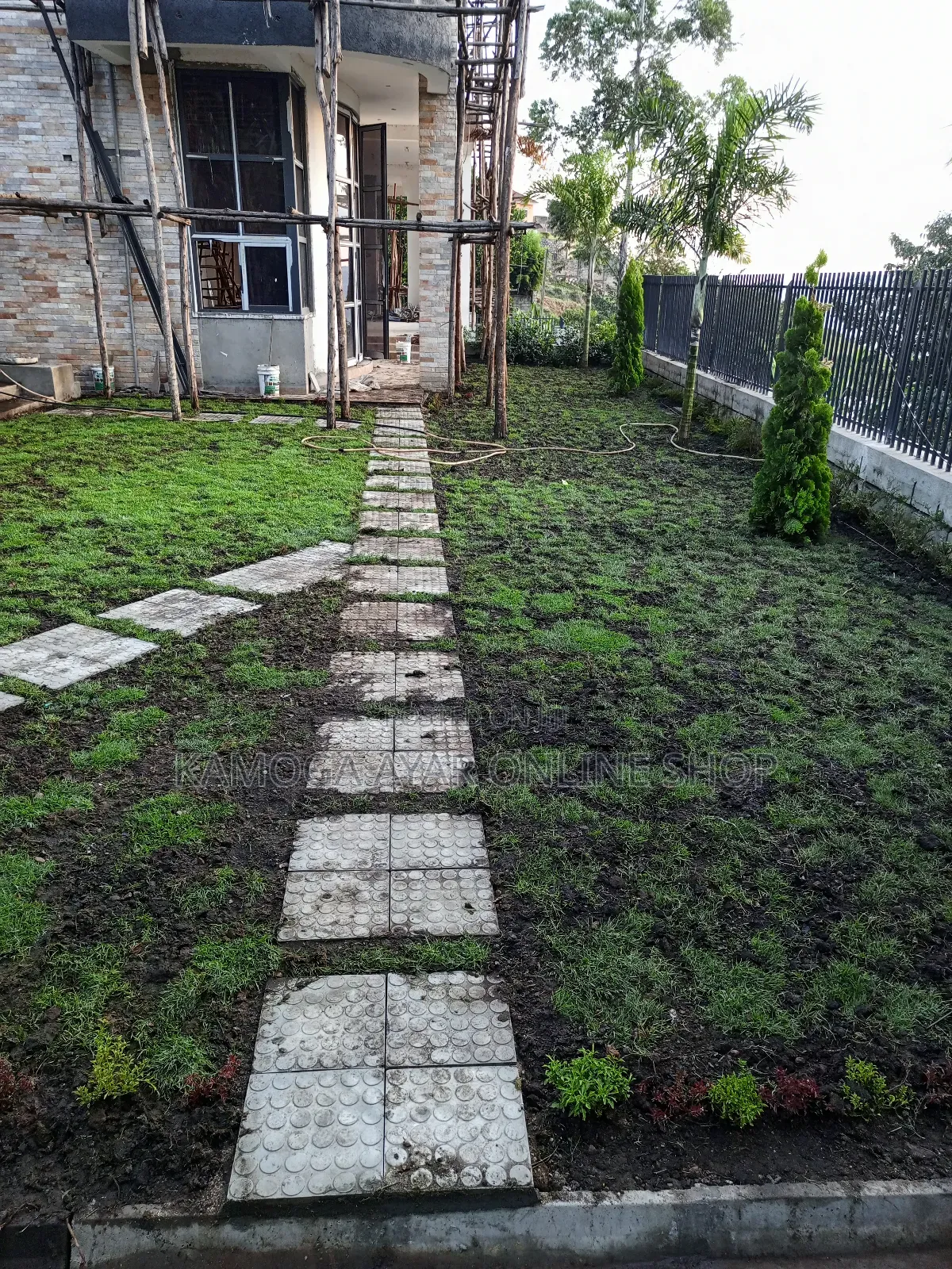 Hybrid Natural Paspalum Grass / Compound Lawn Stakes