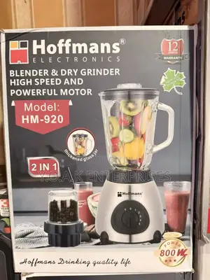Hoffman 2in1 Glass and Steel Electric Blender
